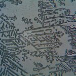 Acid2 360x.jpg example