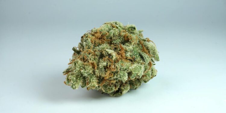 Acid6 400x.jpg