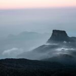 Adam Green iconic look