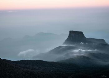 Adam Green iconic look