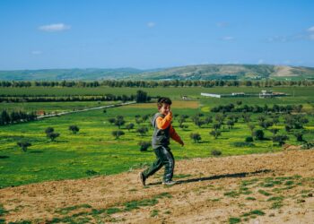 Ariana Whittingham outfit