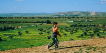 Ariana Whittingham outfit