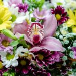 assortment of purple gemstones
