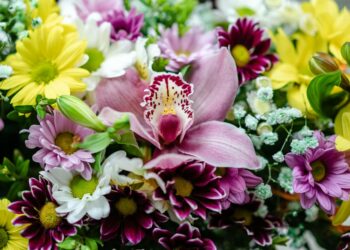 assortment of purple gemstones