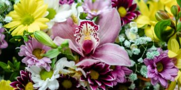 assortment of purple gemstones