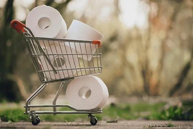 Miniature shopping cart filled with toilet paper rolls outdoors