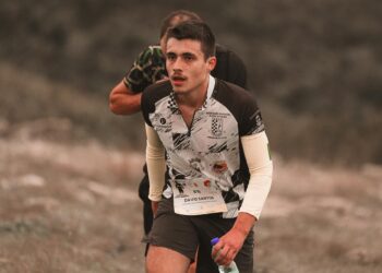 Darvin Sejdic business