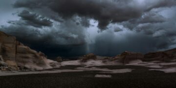 Desert Storm graphic tee outfit