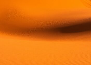 dune contrast shell tee outfit