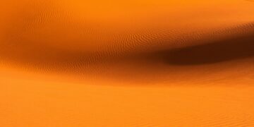 dune contrast shell tee outfit