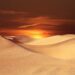 Dune Panel Hoodie