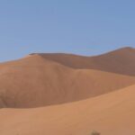 Dune Staple Signature Tee Anarchy Label