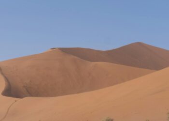 Dune Staple Signature Tee Anarchy Label