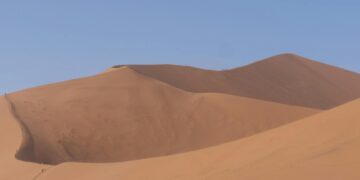 Dune Staple Signature Tee Anarchy Label