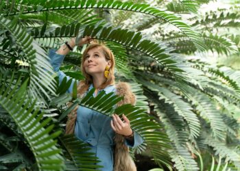 Jaxon Tippet professional headshot