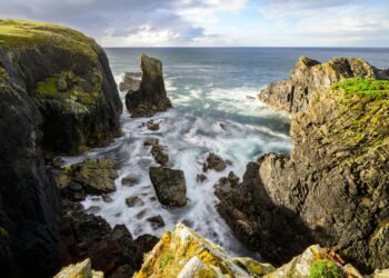 Lewis Huckstep professional portrait