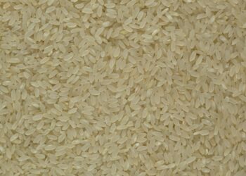 Mirage Staple Signature Tee anrchy label