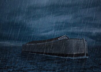 Noah Soundtrack To Success