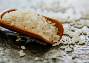 Noir Staple Signature Tee Anarchy Label