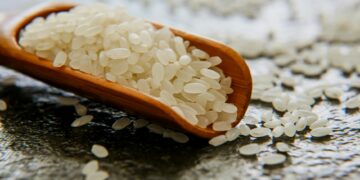 Noir Staple Signature Tee Anarchy Label