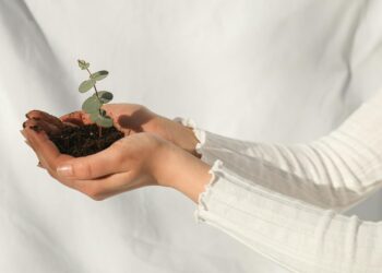 personal growth infographic