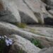 purple stones