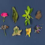 variety of blue gemstones
