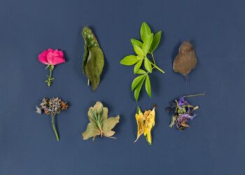 variety of blue gemstones