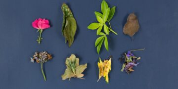 variety of blue gemstones