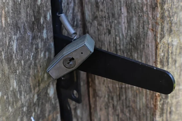 A padlock securing a metal latch on a wooden door