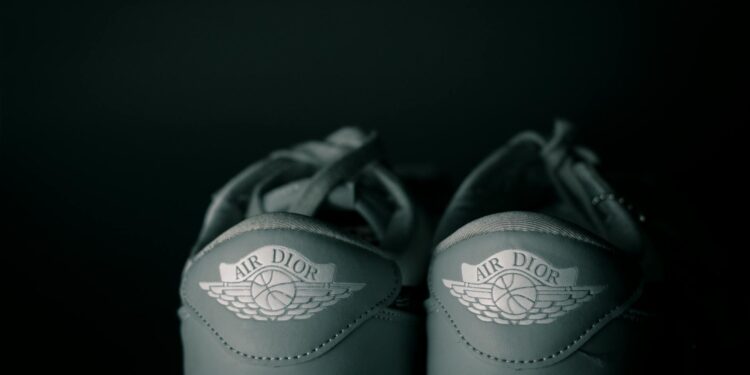 Air Jordan 3 sneaker