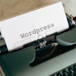 Beginner's Guide to WordPress: Setup, Themes, and Plugins