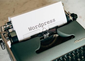 Beginner's Guide to WordPress: Setup, Themes, and Plugins