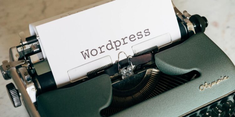 Beginner's Guide to WordPress: Setup, Themes, and Plugins