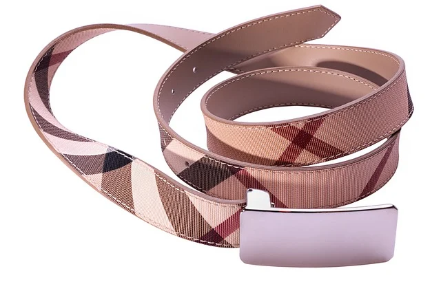 A coiled designer plaid pattern belt with a silver buckle