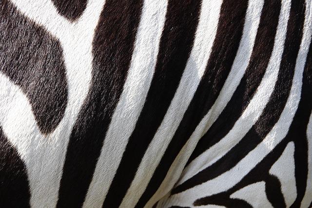 Close-up showing the texture of black suede boots