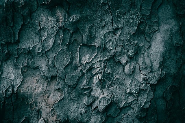 Close-up texture of various jacket fabrics: nylon ripstop, wool tweed, and leather grain