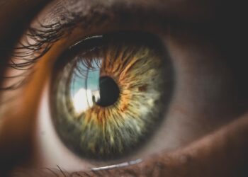 The Ultimate Guide to Diamond Clarity Grades