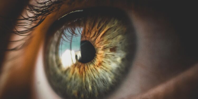 The Ultimate Guide to Diamond Clarity Grades