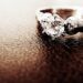 Diamond Wedding Bands: A 2026 Guide to Sparkle and Style