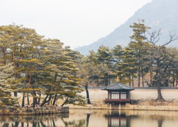 Exploring Global Streetwear Scenes: Tokyo, Seoul, and Beyond