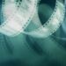 Fashion film comparison