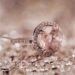 Gemstone vs. Diamond: Which Is Right for Your Engagement Ring in 2026?