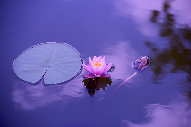Geometric lotus flower tattoo design with intricate lines and patterns