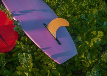 shawn stussy surfboard logo