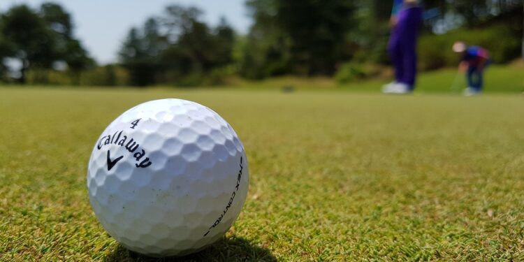 The Ultimate Guide to Spikeless Golf Shoes for 2026
