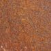 Understanding Metal Allergies: Jewelry Materials to Avoid