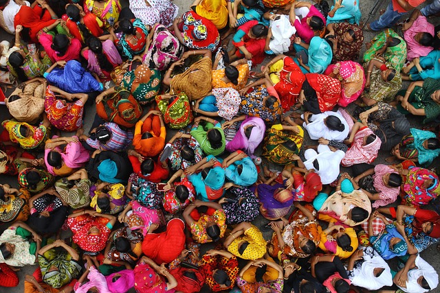 Various styles of women's jorts laid out