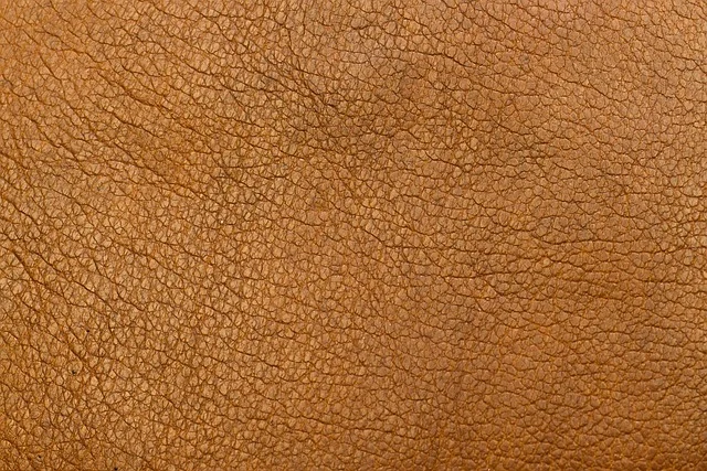 What color options work best with leather jacket pairings?