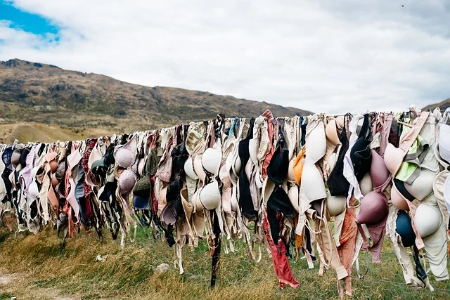 A large collection of various bras hanging on a fence outdoors